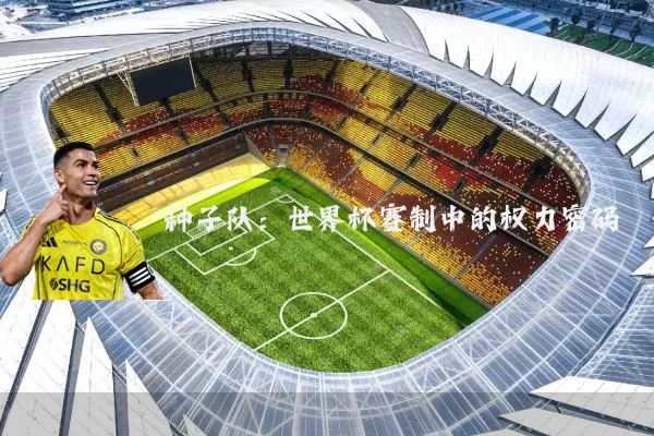种子队：世界杯赛制中的权力密码